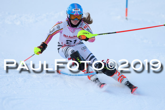 FIS Slalom + NJC Damen + FIS Herren 27.01.2019