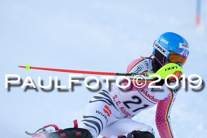 FIS Slalom + NJC Damen + FIS Herren 27.01.2019