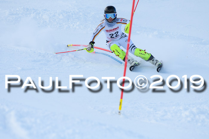FIS Slalom + NJC Damen + FIS Herren 27.01.2019
