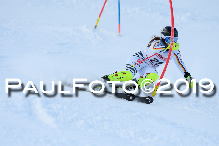 FIS Slalom + NJC Damen + FIS Herren 27.01.2019