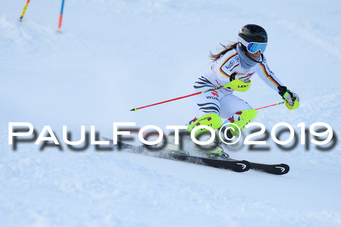 FIS Slalom + NJC Damen + FIS Herren 27.01.2019