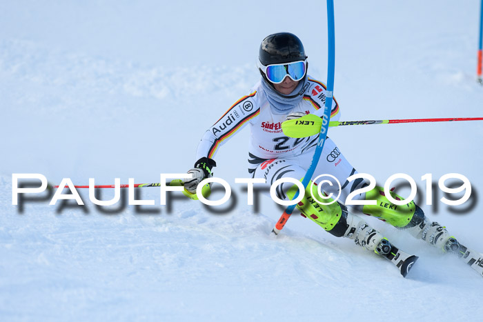 FIS Slalom + NJC Damen + FIS Herren 27.01.2019