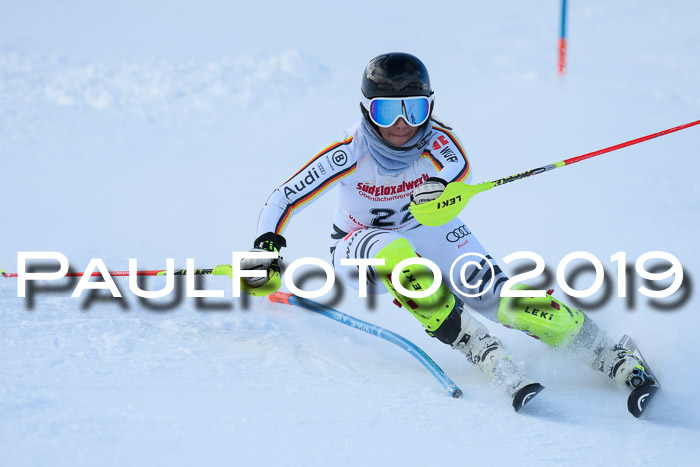 FIS Slalom + NJC Damen + FIS Herren 27.01.2019