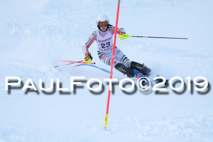 FIS Slalom + NJC Damen + FIS Herren 27.01.2019