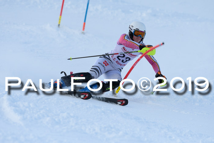 FIS Slalom + NJC Damen + FIS Herren 27.01.2019