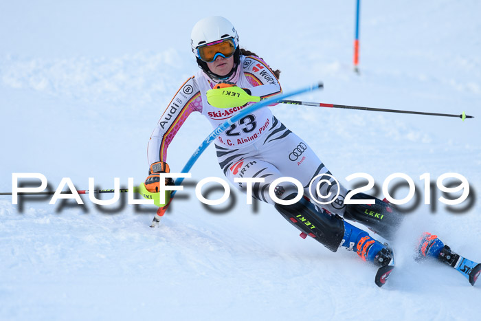 FIS Slalom + NJC Damen + FIS Herren 27.01.2019