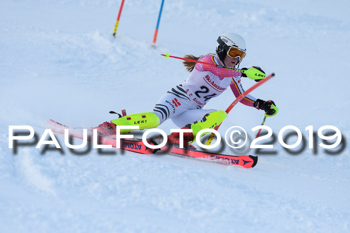 FIS Slalom + NJC Damen + FIS Herren 27.01.2019