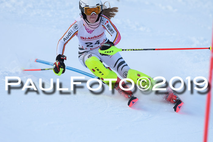 FIS Slalom + NJC Damen + FIS Herren 27.01.2019