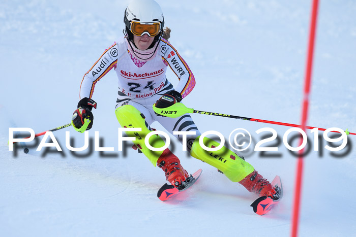 FIS Slalom + NJC Damen + FIS Herren 27.01.2019