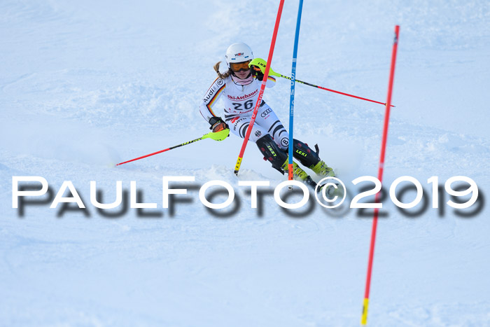 FIS Slalom + NJC Damen + FIS Herren 27.01.2019