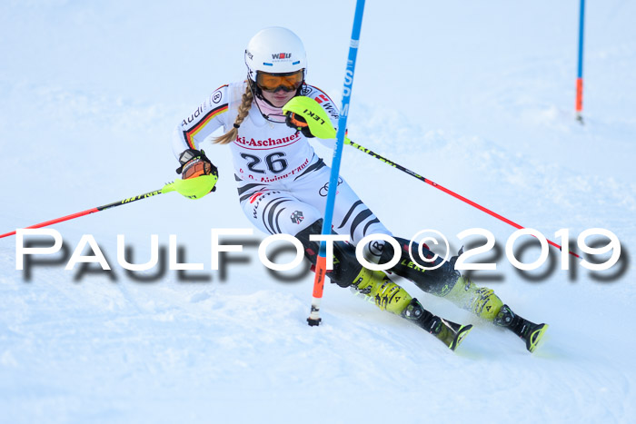 FIS Slalom + NJC Damen + FIS Herren 27.01.2019