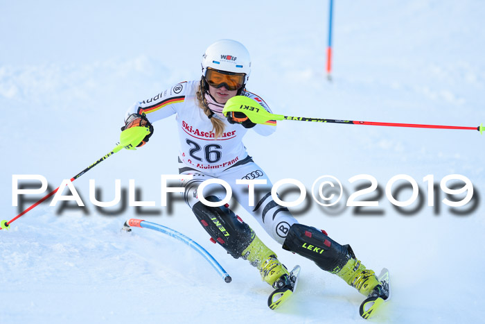 FIS Slalom + NJC Damen + FIS Herren 27.01.2019