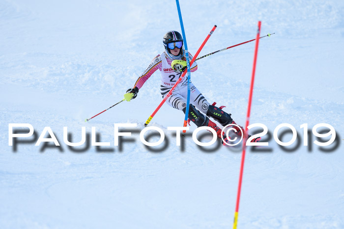 FIS Slalom + NJC Damen + FIS Herren 27.01.2019