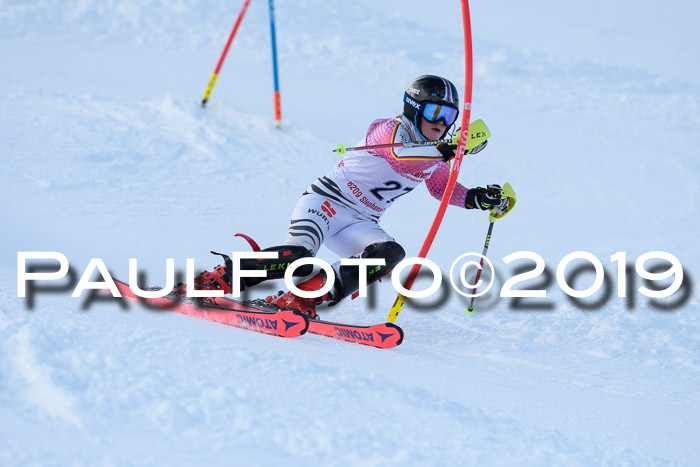FIS Slalom + NJC Damen + FIS Herren 27.01.2019