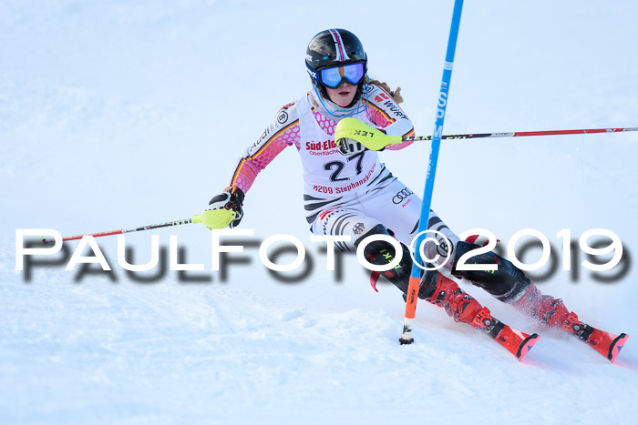 FIS Slalom + NJC Damen + FIS Herren 27.01.2019