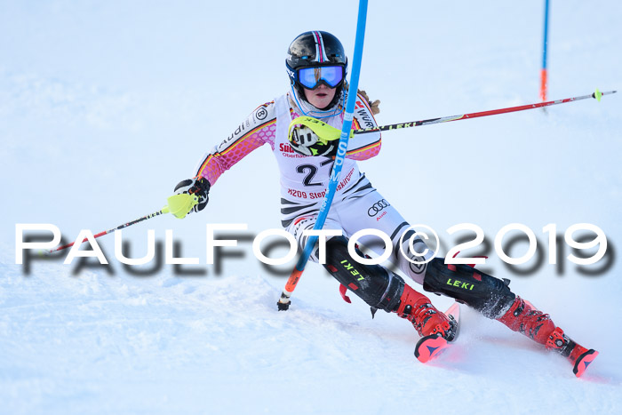 FIS Slalom + NJC Damen + FIS Herren 27.01.2019