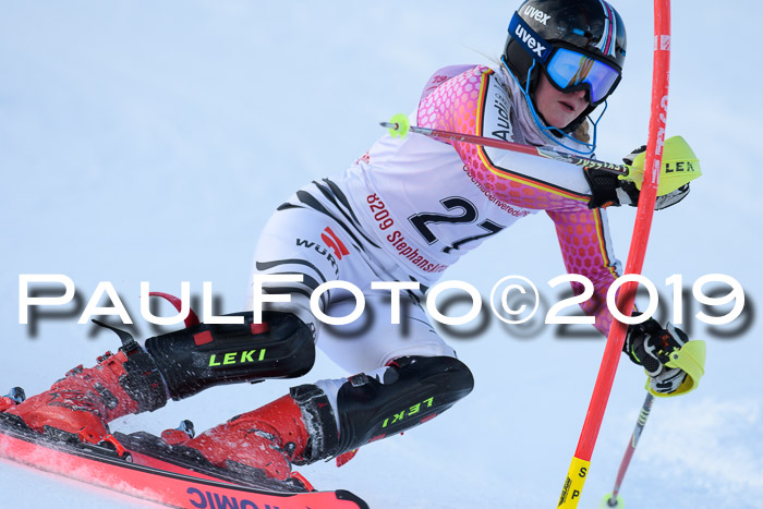 FIS Slalom + NJC Damen + FIS Herren 27.01.2019