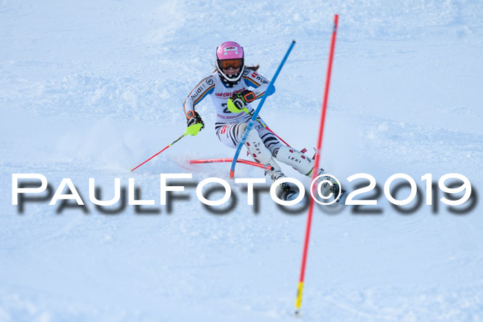 FIS Slalom + NJC Damen + FIS Herren 27.01.2019