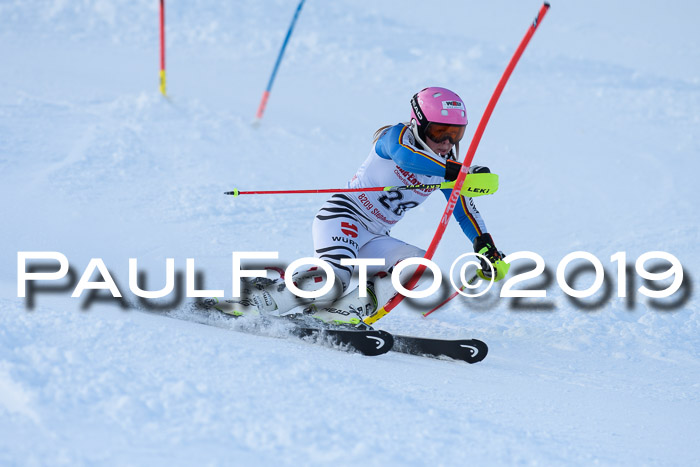 FIS Slalom + NJC Damen + FIS Herren 27.01.2019