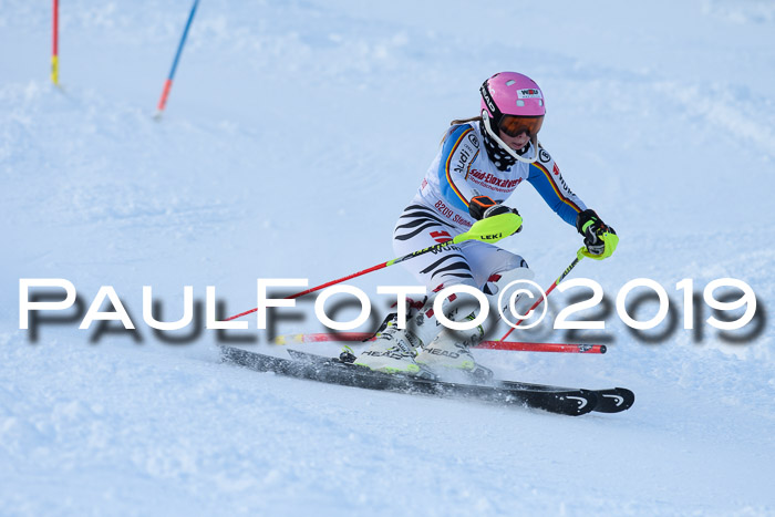 FIS Slalom + NJC Damen + FIS Herren 27.01.2019