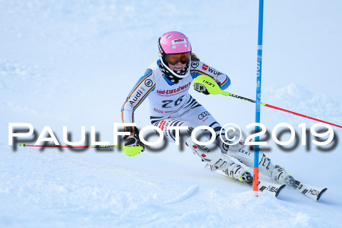 FIS Slalom + NJC Damen + FIS Herren 27.01.2019