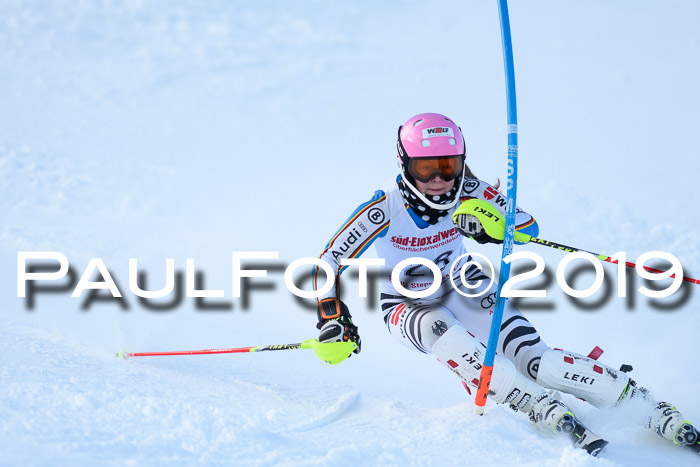 FIS Slalom + NJC Damen + FIS Herren 27.01.2019