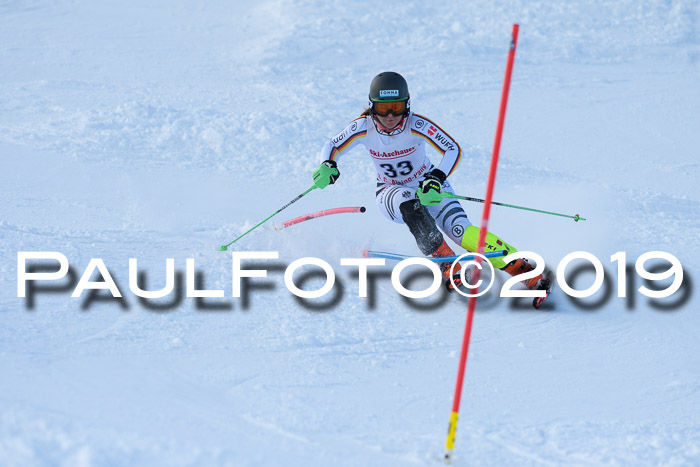 FIS Slalom + NJC Damen + FIS Herren 27.01.2019