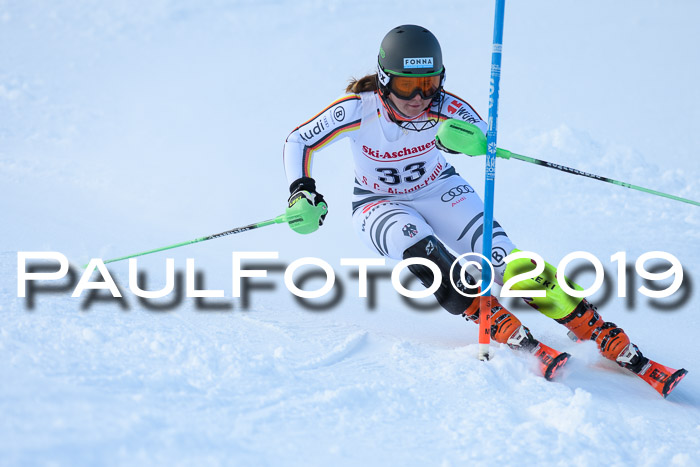 FIS Slalom + NJC Damen + FIS Herren 27.01.2019