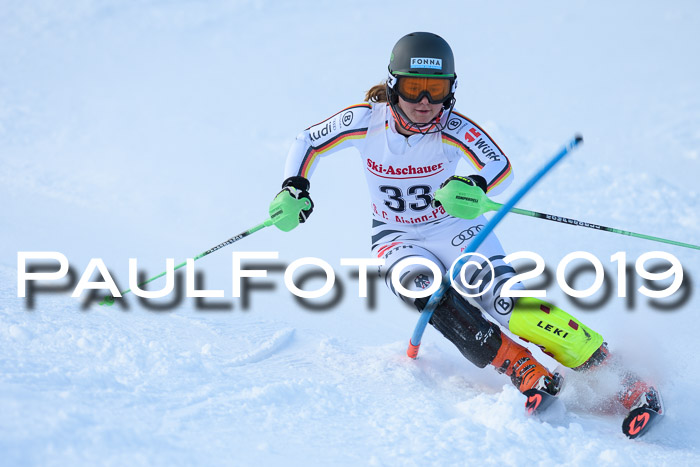 FIS Slalom + NJC Damen + FIS Herren 27.01.2019