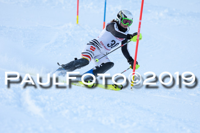 FIS Slalom + NJC Damen + FIS Herren 27.01.2019