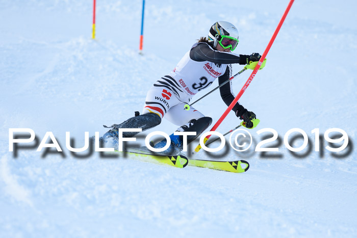 FIS Slalom + NJC Damen + FIS Herren 27.01.2019
