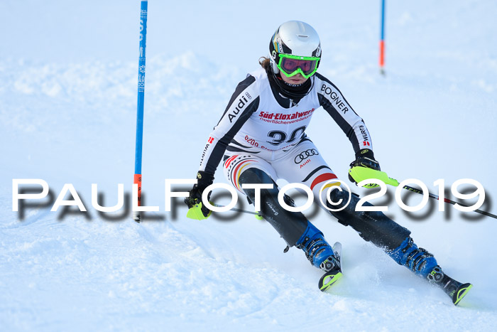 FIS Slalom + NJC Damen + FIS Herren 27.01.2019