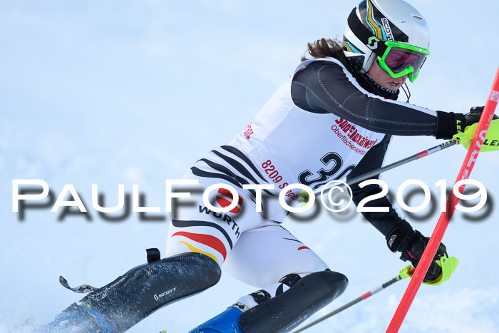 FIS Slalom + NJC Damen + FIS Herren 27.01.2019