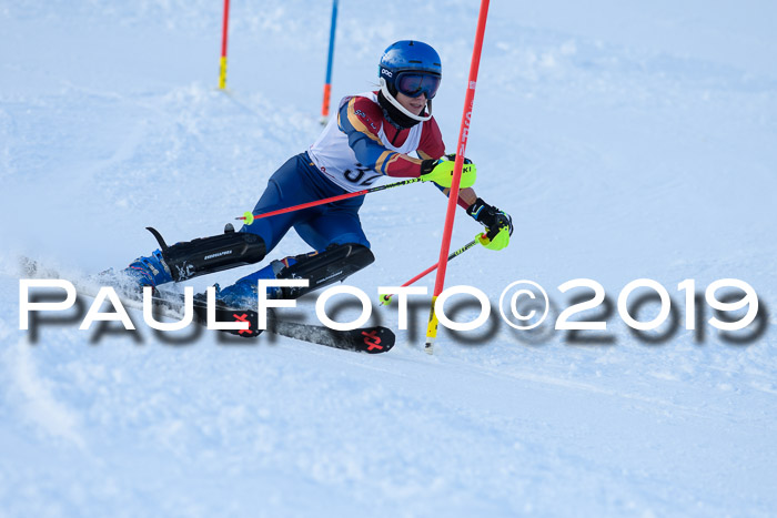 FIS Slalom + NJC Damen + FIS Herren 27.01.2019