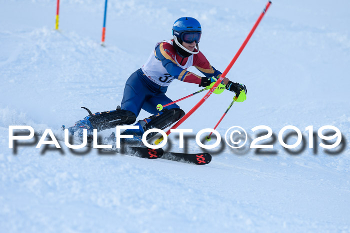 FIS Slalom + NJC Damen + FIS Herren 27.01.2019