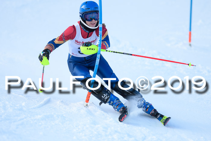 FIS Slalom + NJC Damen + FIS Herren 27.01.2019