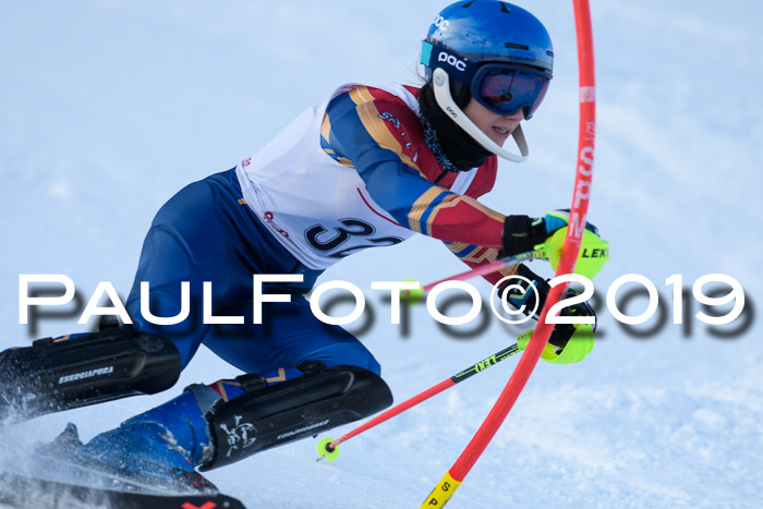FIS Slalom + NJC Damen + FIS Herren 27.01.2019