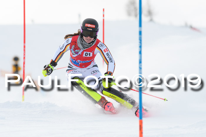 FIS Slalom + NJC Damen + FIS Herren 27.01.2019