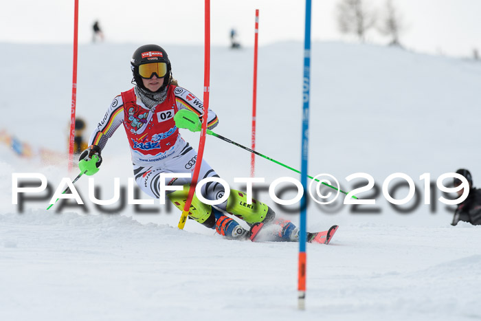 FIS Slalom + NJC Damen + FIS Herren 27.01.2019