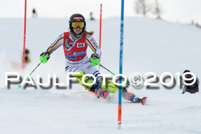 FIS Slalom + NJC Damen + FIS Herren 27.01.2019