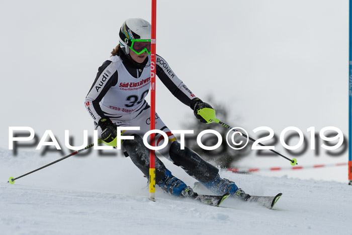 FIS Slalom + NJC Damen + FIS Herren 27.01.2019