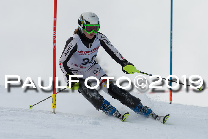 FIS Slalom + NJC Damen + FIS Herren 27.01.2019