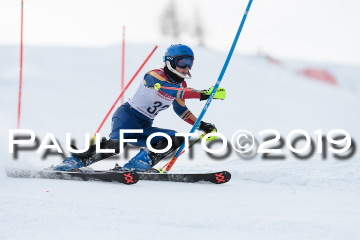 FIS Slalom + NJC Damen + FIS Herren 27.01.2019