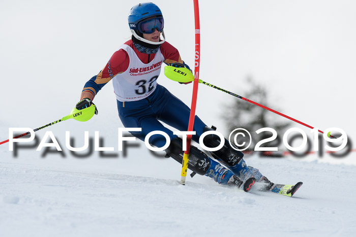FIS Slalom + NJC Damen + FIS Herren 27.01.2019