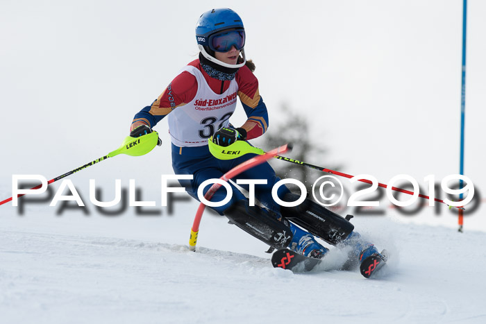 FIS Slalom + NJC Damen + FIS Herren 27.01.2019