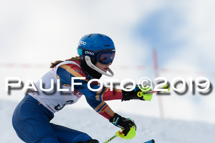FIS Slalom + NJC Damen + FIS Herren 27.01.2019