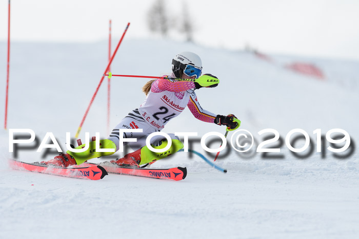 FIS Slalom + NJC Damen + FIS Herren 27.01.2019