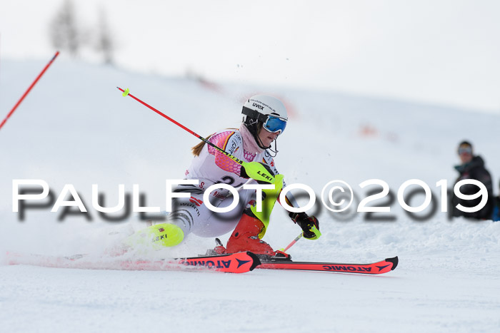 FIS Slalom + NJC Damen + FIS Herren 27.01.2019