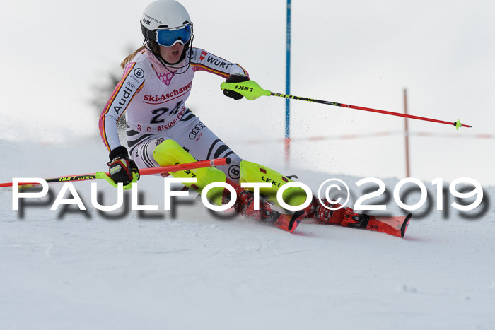 FIS Slalom + NJC Damen + FIS Herren 27.01.2019