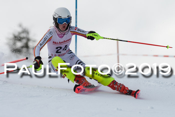 FIS Slalom + NJC Damen + FIS Herren 27.01.2019